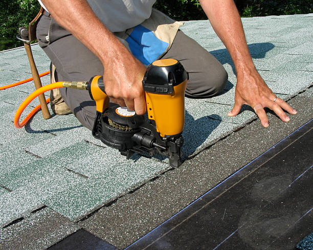 Best Roof Gutter Cleaning  in East Griffin, GA
